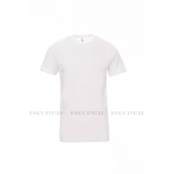 PRINT   001048-0311